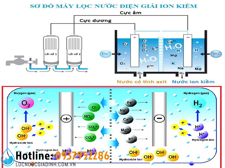 17 Máy Lọc Nước Ion Kiềm Cao Cấp Nhật Bản Tốt Nhất