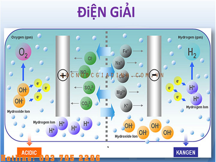 Có Nên Mua Máy Lọc Nước Điện Giải Không? [Locnuocgiadinh.com.vn]