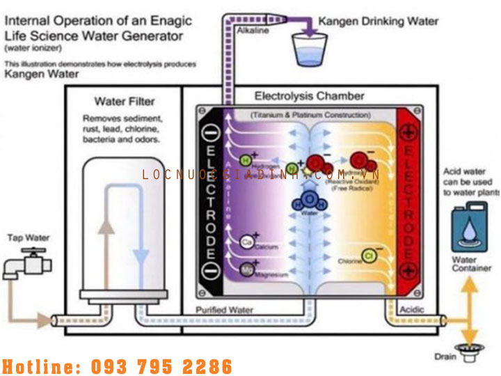 Có Nên Mua Máy Lọc Nước Điện Giải Không? [Locnuocgiadinh.com.vn]