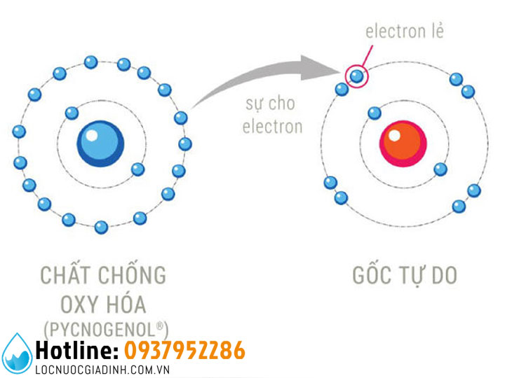 NƯỚC TỪ TRƯỜNG LÀ GÌ? CÁCH TẠO RA NƯỚC TỪ TRƯỜNG